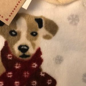 Ellen Degeneres towel dog